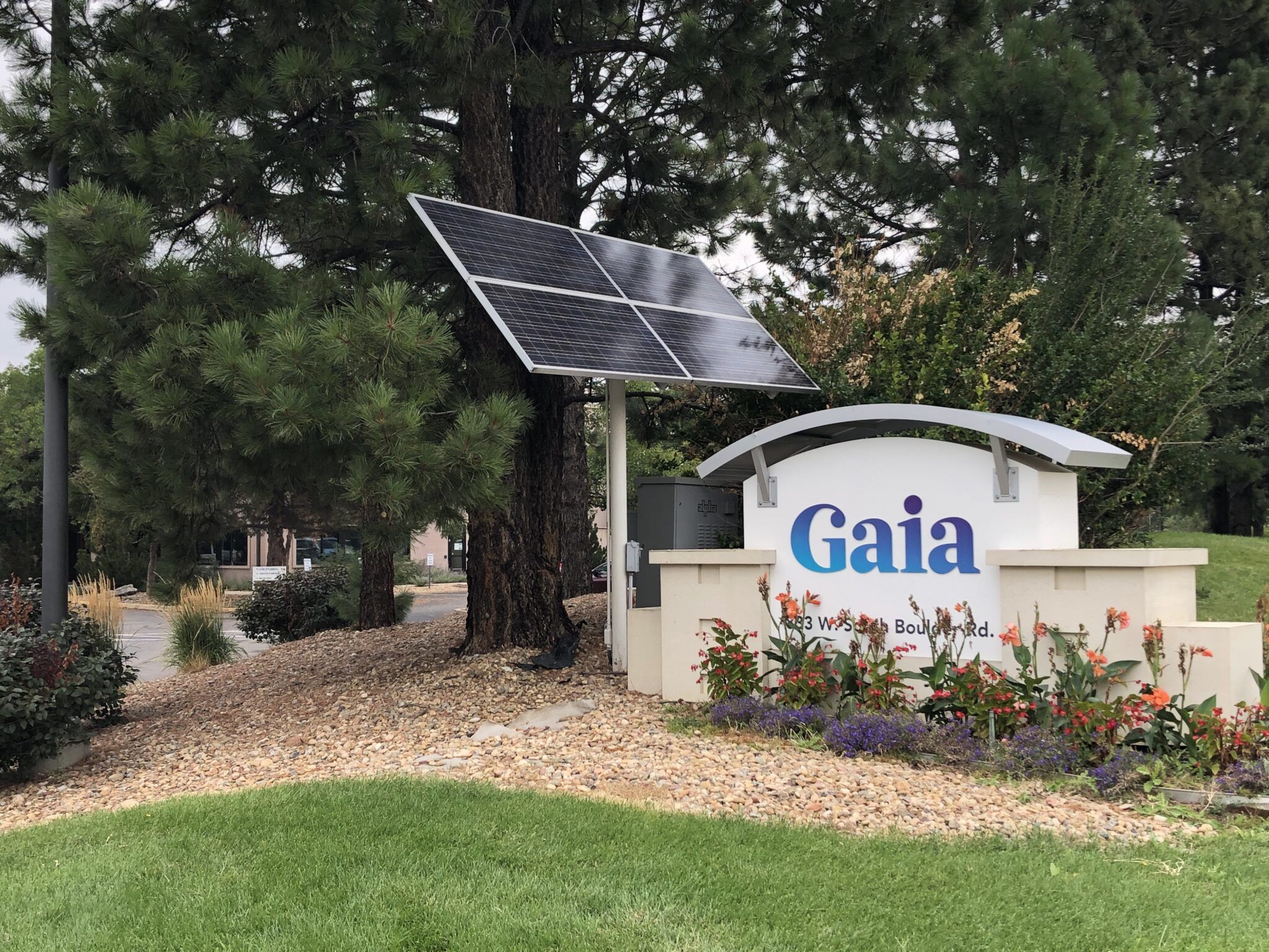 Gaia’s video service sees nearly double-digit membership growth