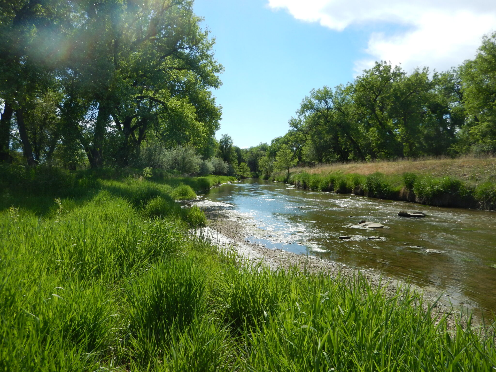 Work to begin on wetland conservation bank in Weld County – BizWest